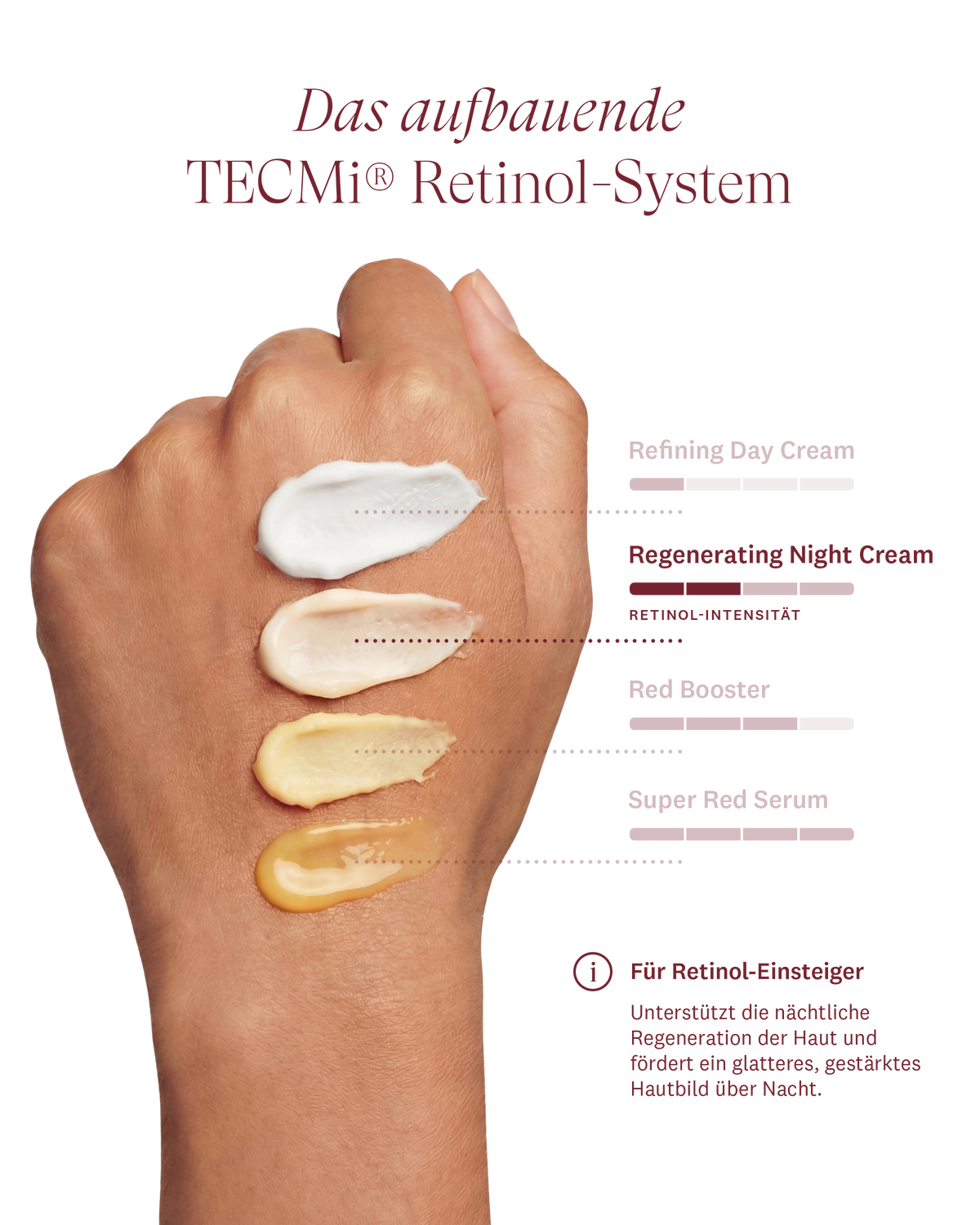 The Regenerating Night Cream